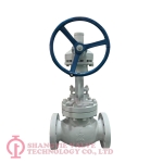 API600 Flange Bevel Gear Operated Globe Valve_(2560)