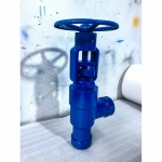 1500lb-angle-globe-valve-for-power-plant