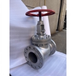 bs1873-cf8-globe-valve-for-chemical-plant
