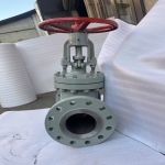 api600-high-pressure-gate-valve-cross-section