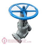API600-Class900-RF-Flange-Connection-Detail-10inch_(2650)