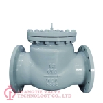 API 6D CARBON STEEL A216 WCB FLANGE TYPE SWING CHECK VALVE_4200