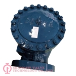 API-Flange-Swing Check Valve_(6810)