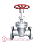 API STANDARD STAINLESS STEEL WEDGED GATE VALVE_6030