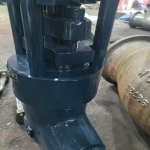 api600-forged-power-station-globe-valve