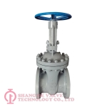 wedged gate valve_6484
