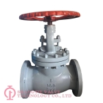 BS1873 RF Flange Globe Valve_(8640)