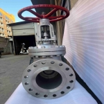 api603-corrosion-resistant-gate-valve-cross-section