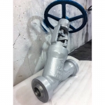 hthp-welded-alloy-steel-y-globe-valve-cross-section