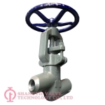 POWER STATION GLOBE VALVE_8612